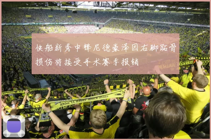 快船新秀中锋尼德豪泽因右脚跖骨损伤将接受手术赛季报销