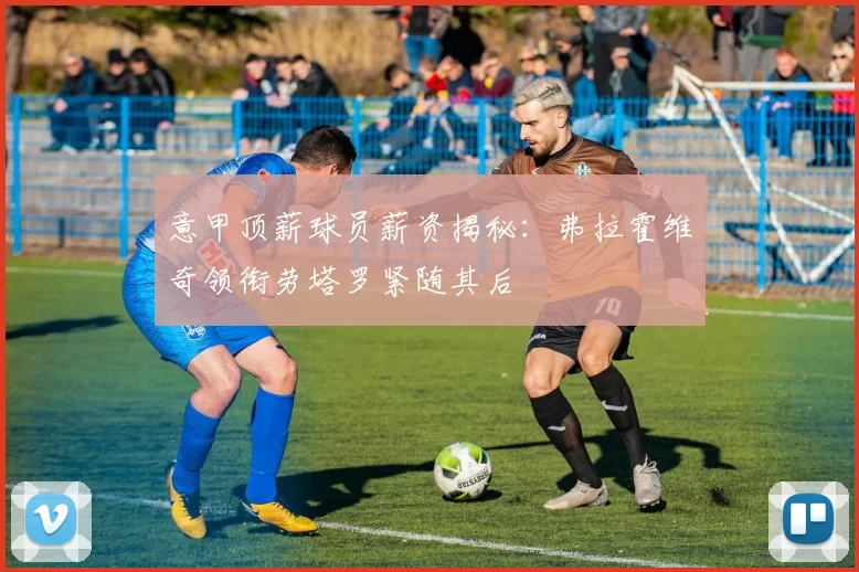 意甲顶薪球员薪资揭秘：弗拉霍维奇领衔劳塔罗紧随其后